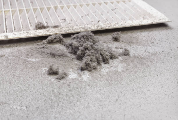 Best Air Duct Cleaning Near Me in IA
