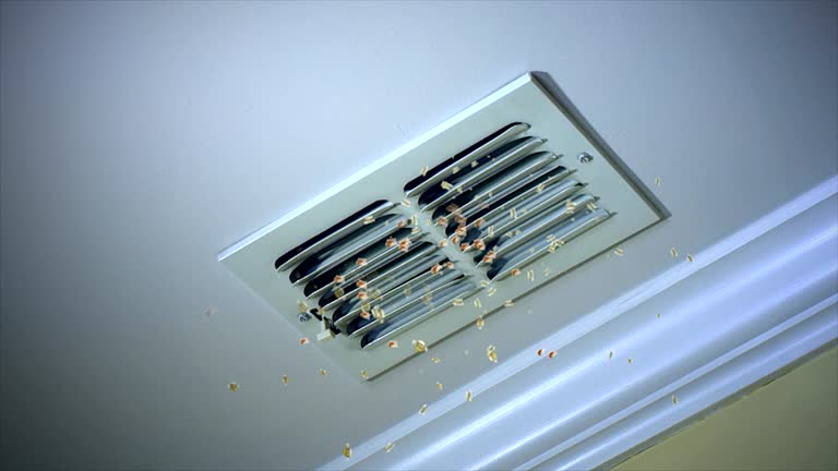 Best Air Duct Mold Removal  in Earlham, IA