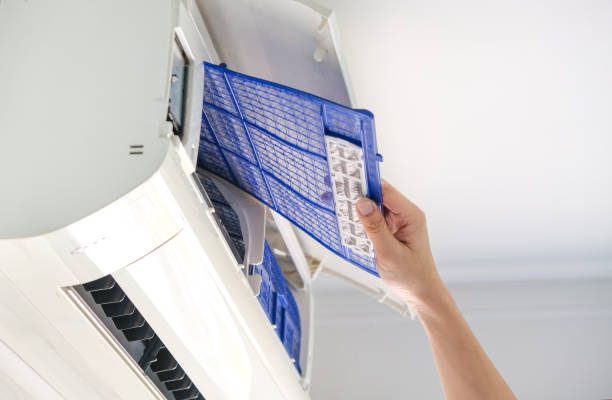 Air Duct Mold Removal in IA